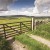 Tripping up – Are health & safety concerns and logistical red tape making school trips untenable