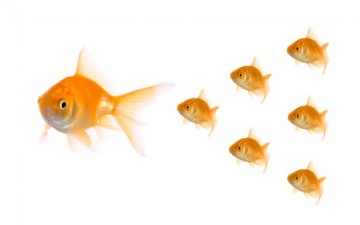 NPQH – A change for the better?